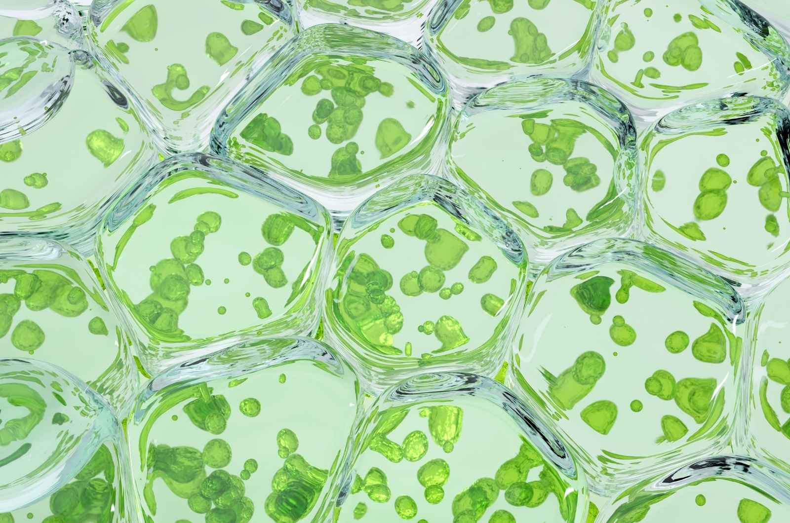 What Makes BIOTECH FARM LTD a Leading Biotech Research Facility?